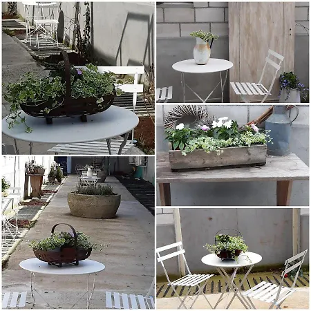 Ξενοδοχείο Porcus Campus